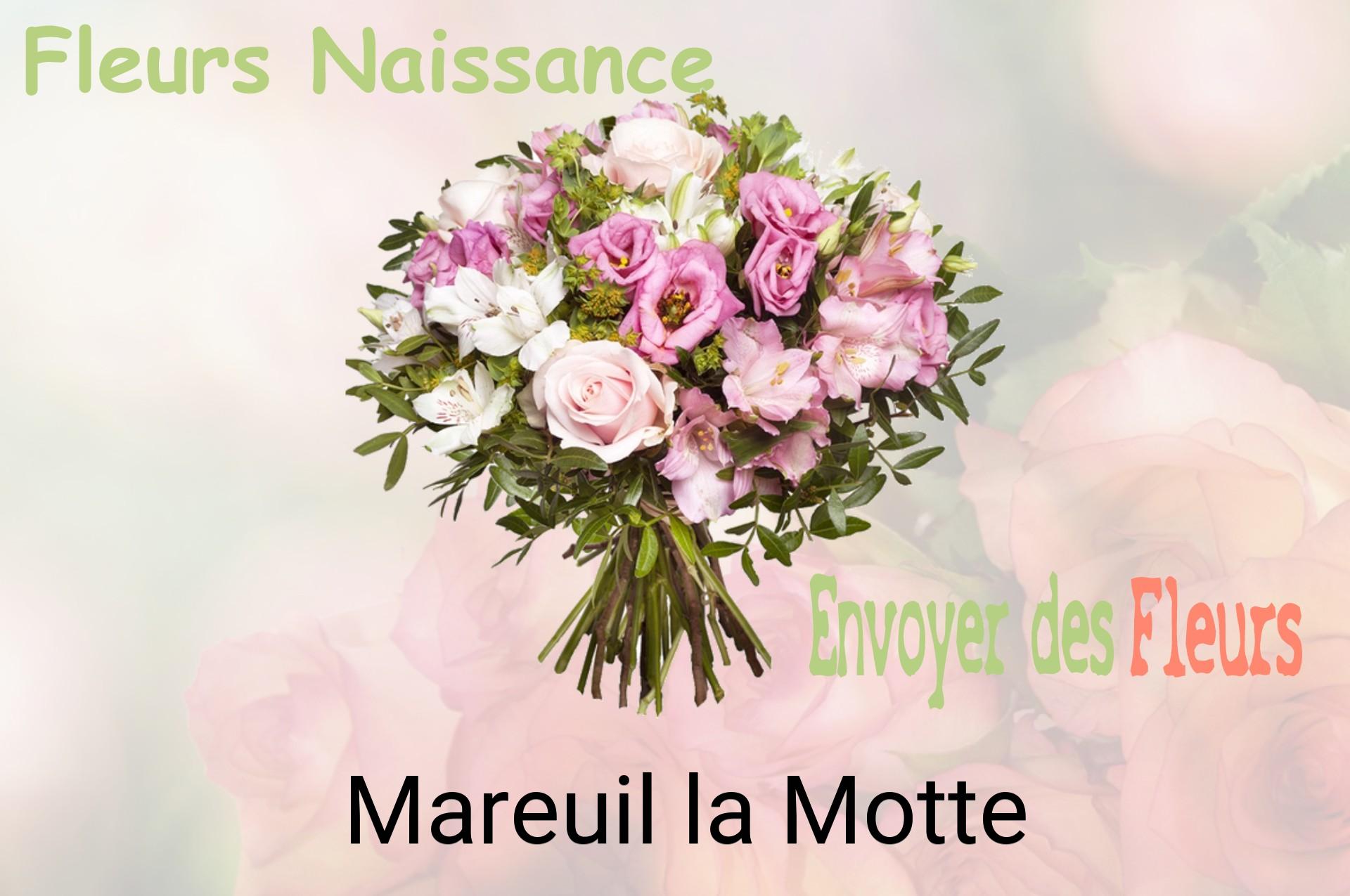 Bouquet de fleurs de naissance livré à Mareuil-la-Motte
