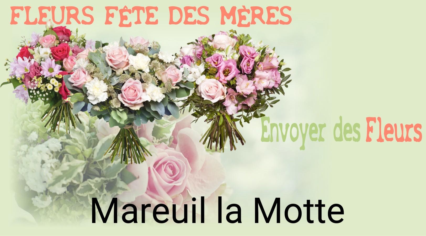 Bouquet de Fête des Mères livré à Mareuil-la-Motte